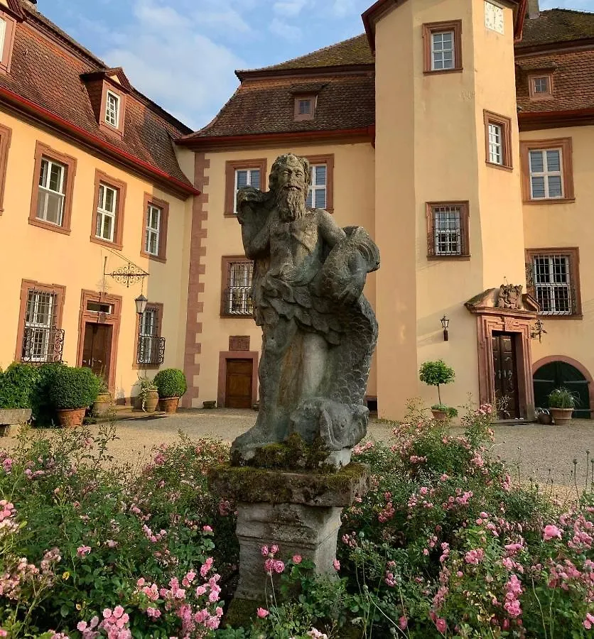 Private Apartment In Historic Castle From 1608 With Tenniscourt Zeitlofs