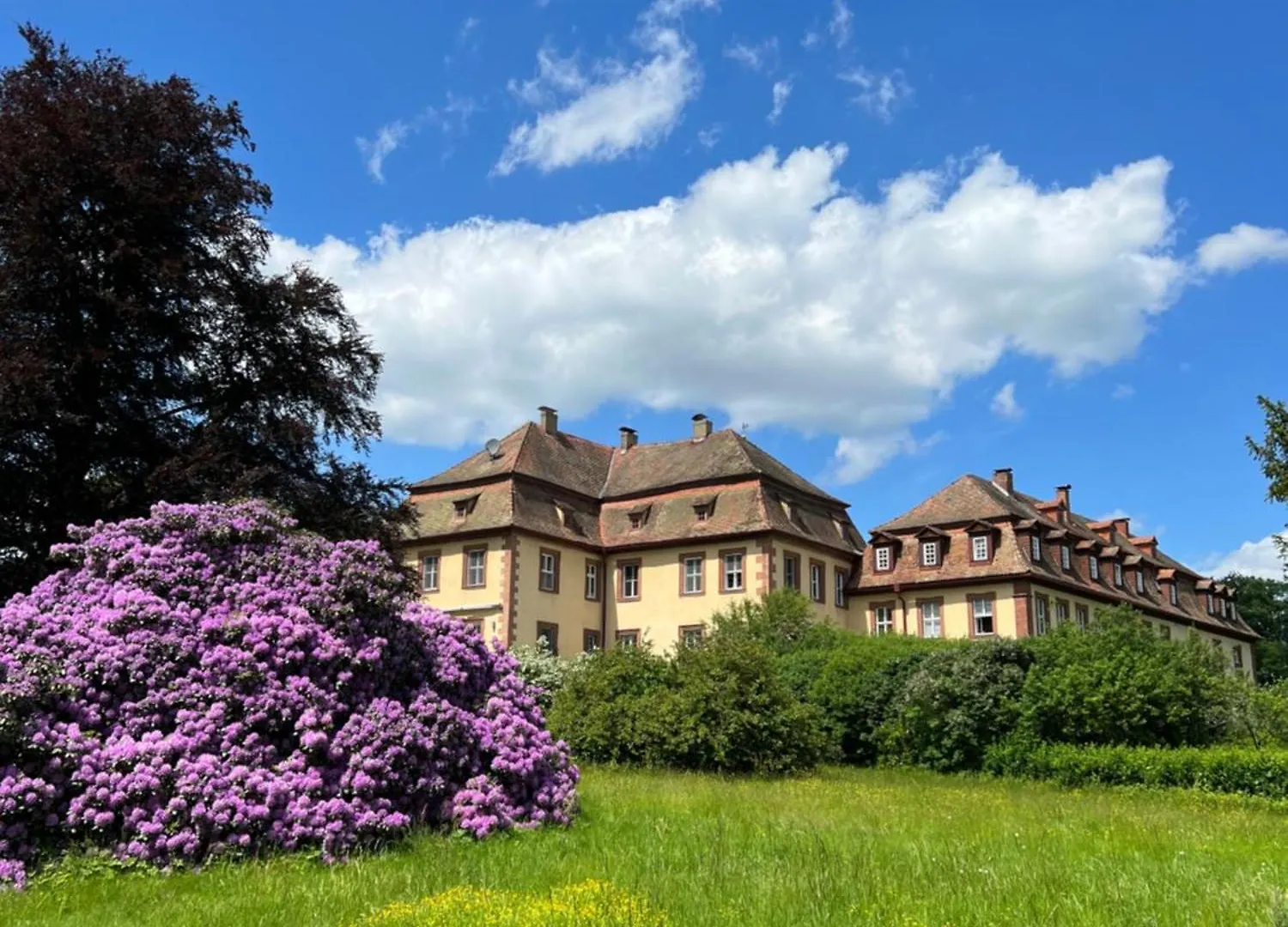 Private Apartment In Historic Castle From 1608 With Tenniscourt Zeitlofs Germany